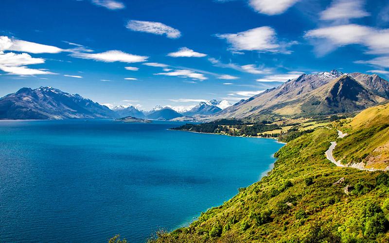 新西兰创业移民适合干啥？探索五大热门行业，开启成功之旅