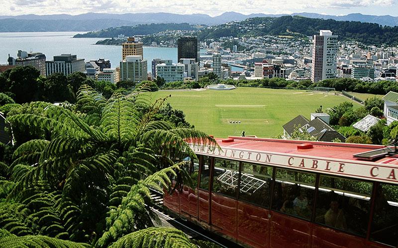普通人如何移民新西兰？